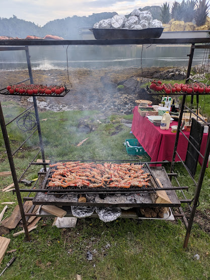 tomatoes and prawns on an open grill in front of a lake