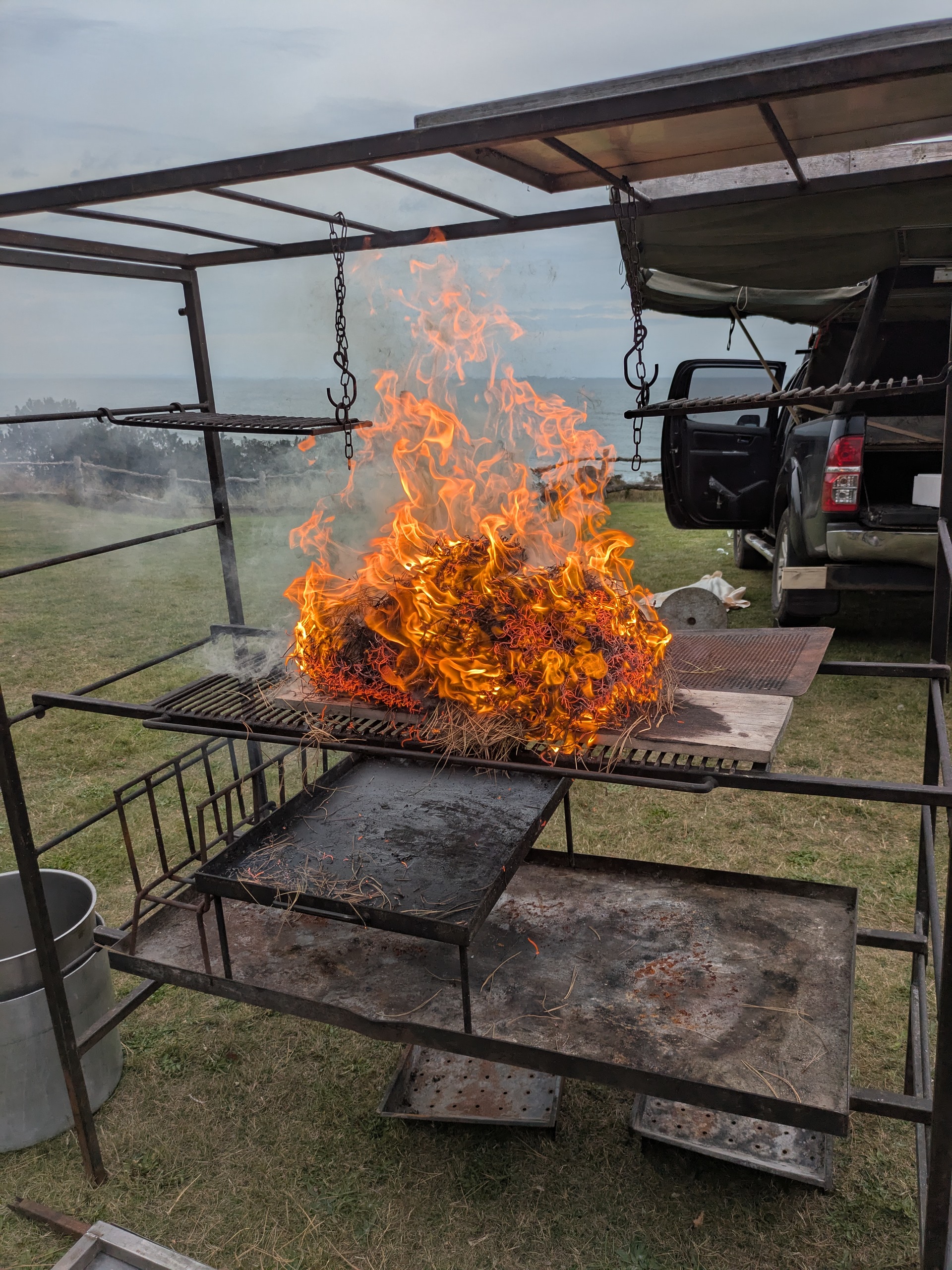 oysters cooking in fire on a grill for a day out experience